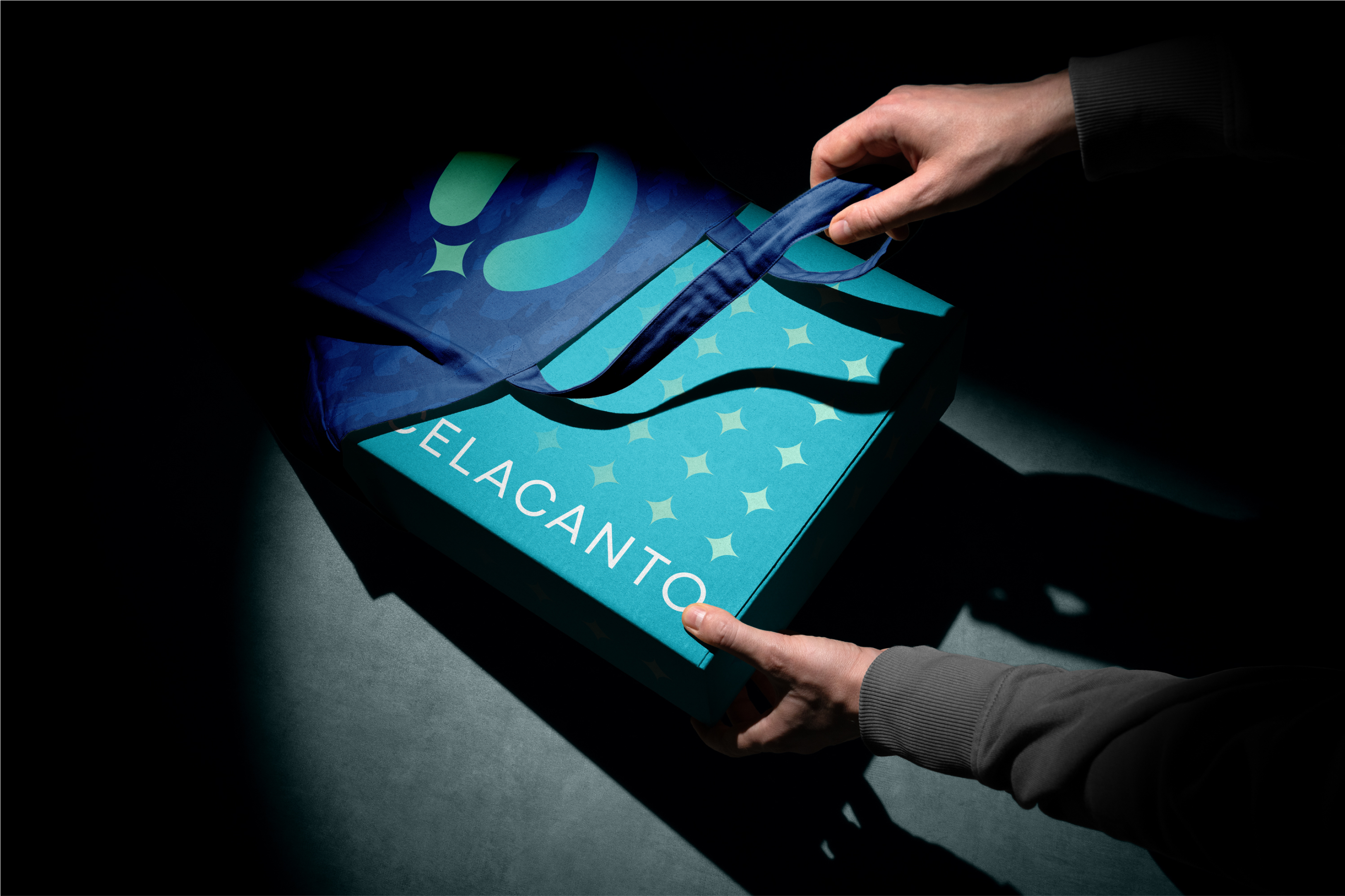 Example of Branding / Visual Identity Package